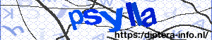 Validation Code